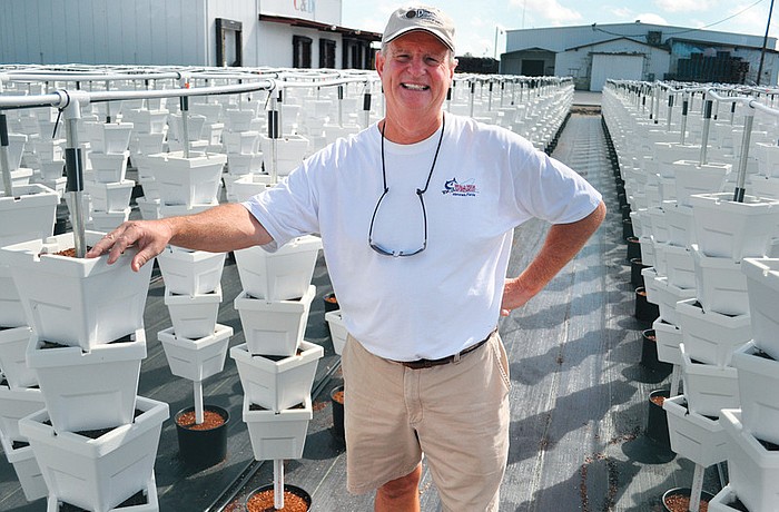 Tom O'Brien owns the business with his brothers, David and Steve. His brother-in-law, John Cucci, and mother-in-law, Donna Bergquist, also work at the farm with them.