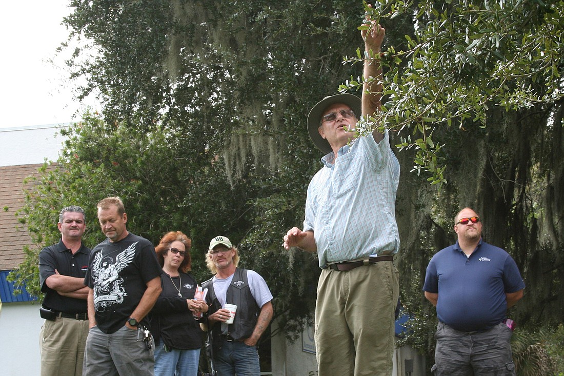 Arborist Chuck Lippi demonstrates pruning technique on a live oak Nov. 6, outside the Palm Coast Community Center.