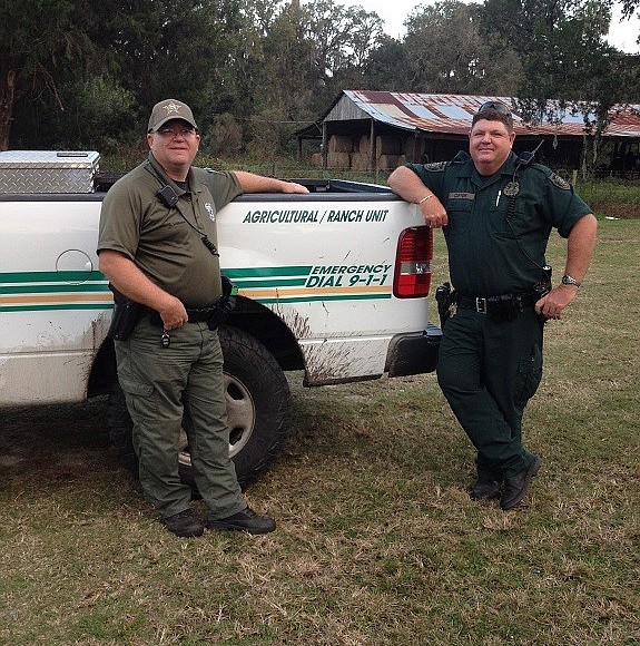 Cow catchers patrol Flagler's wild west | Observer Local News