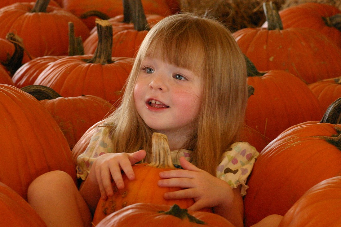 The Hunsader Farms Pumpkin Festival is now in its 19th year.