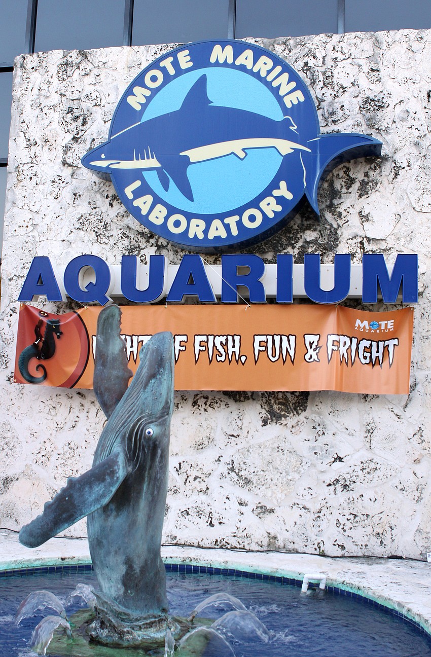 The outside of Mote Aquarium decorated for Halloween.