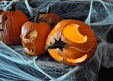 Dozens of pumpkins were entered in the pumpkin carving contest.