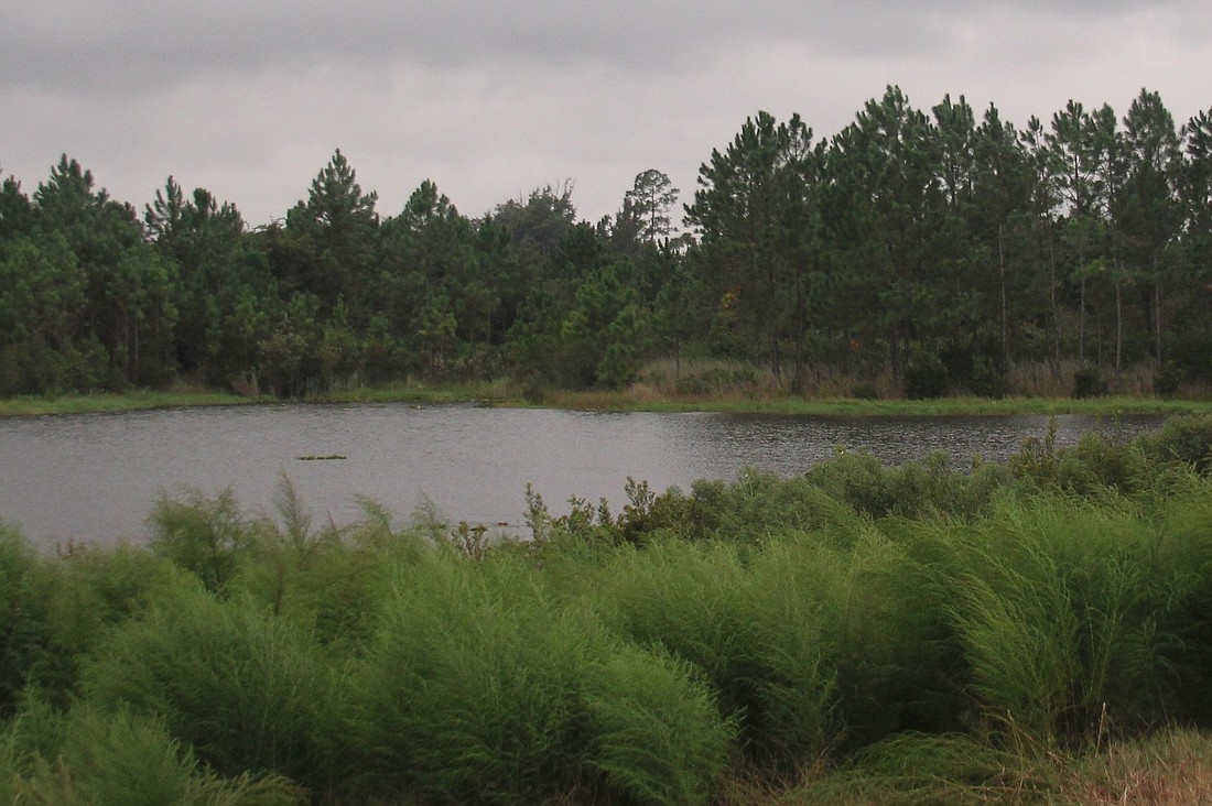 Does the Matanzas course have a future?