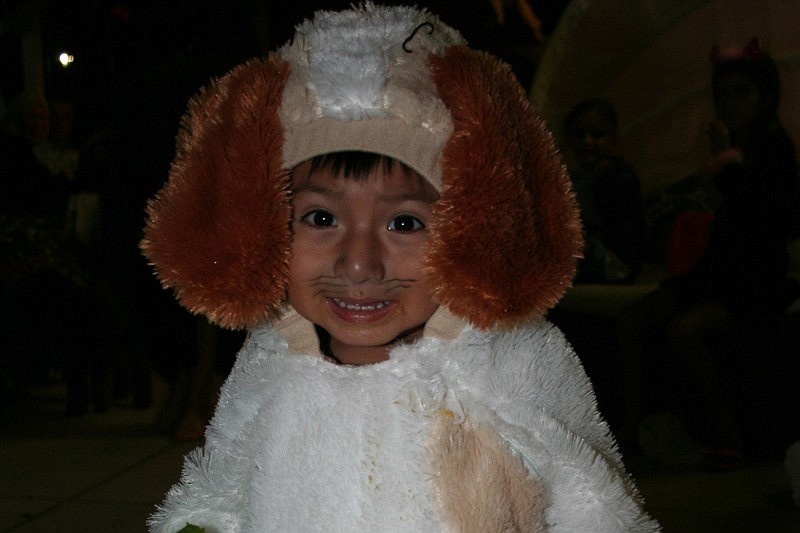 Jose Antonio Velazquez dressed as a fluffy dog last year for Fright Night Halloween on St. Armands.
