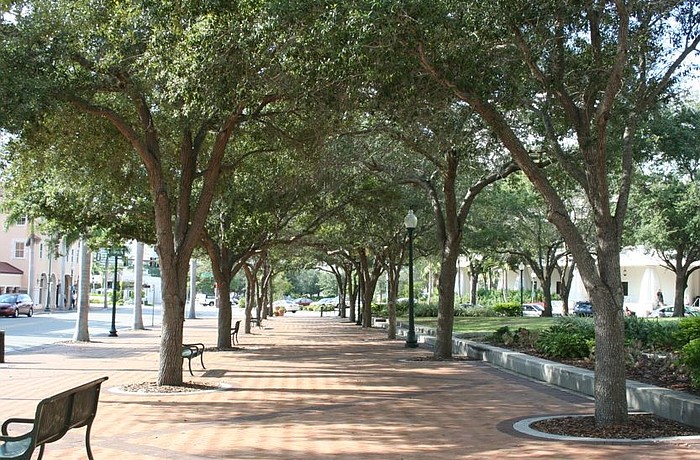 Former Vice Mayor Ken Shelin believes a private nonprofit organization may be able to revitalize Selby Five Points Park.