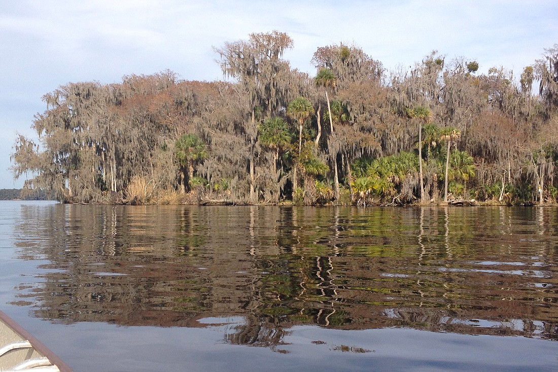 The St. Johns River (File photo by Jonathan Simmons.)