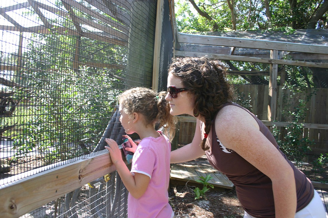 Kaitlyn and Sandy Magnusson check out birds at the grand opening of Save Our Seabirds two years ago.