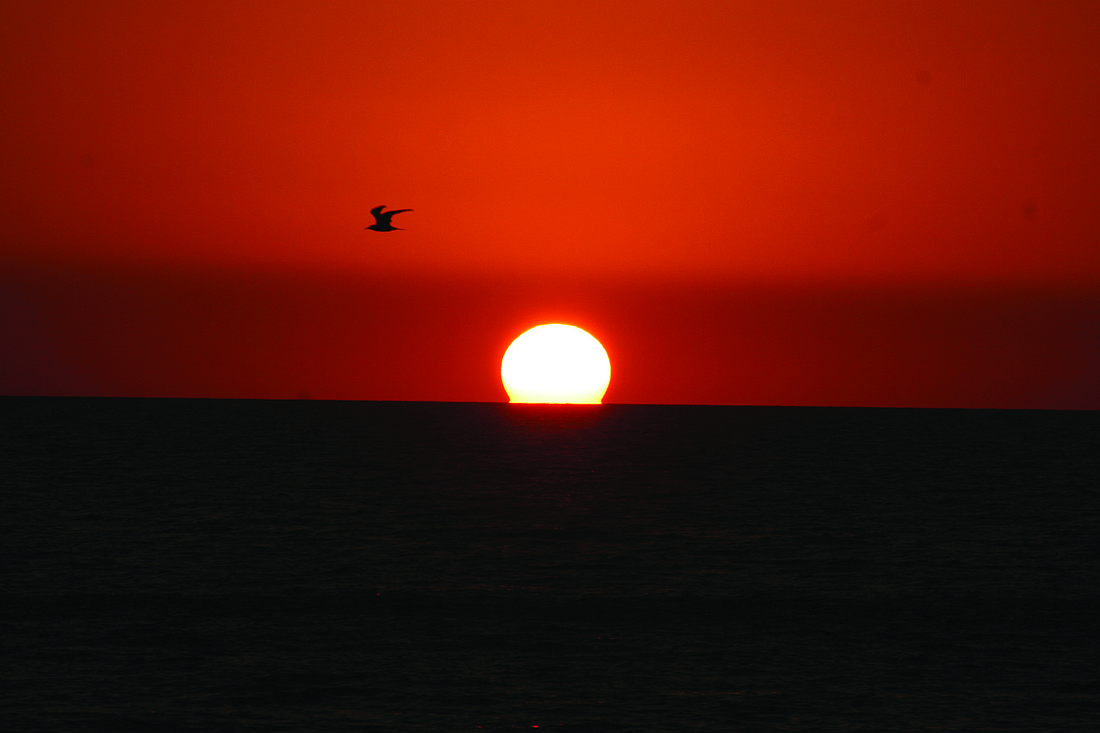 Jack Duncan submitted this sunset photo, taken at the Bay Isles public beach access.