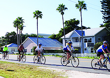 A group of bicyclers gets exercise in early with a group ride up and down Gulf of Mexico Drive the morning of Nov. 15.