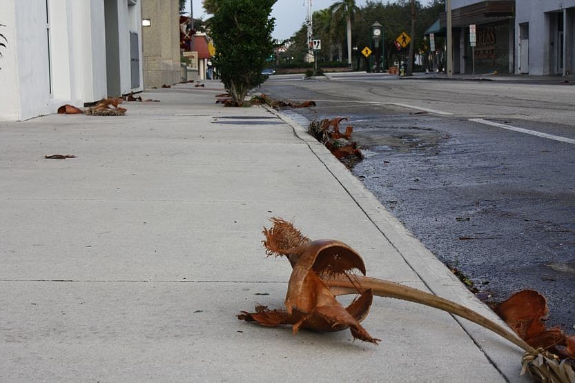Palm fronds were scattered on the streets leading to the Five Points roundabout.