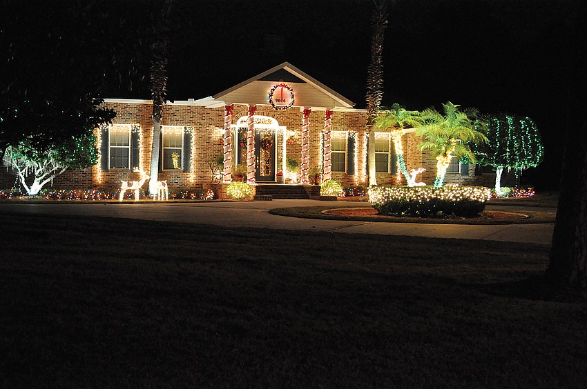 Braden Run in Braden Woods