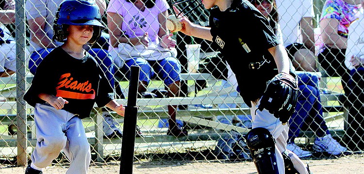 Giants' player Caleb Rumble tried to outrun Pirates' catcher Jameson Syprett to home plate during their final T-ball game of the season in November.