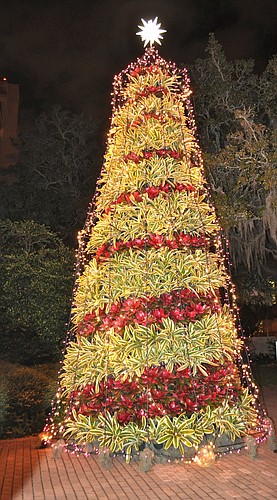 The bromeliad tree lit up the entrance to the mansion for all to see.