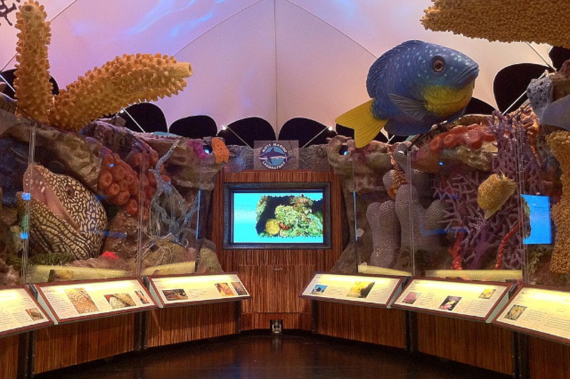 Mote educators designed the traveling Sanctuary Reef exhibit. Photo by Jason Robertshaw.
