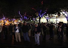 The crowd takes in the first view of the Five Points Selby Park LED tree lighting system.