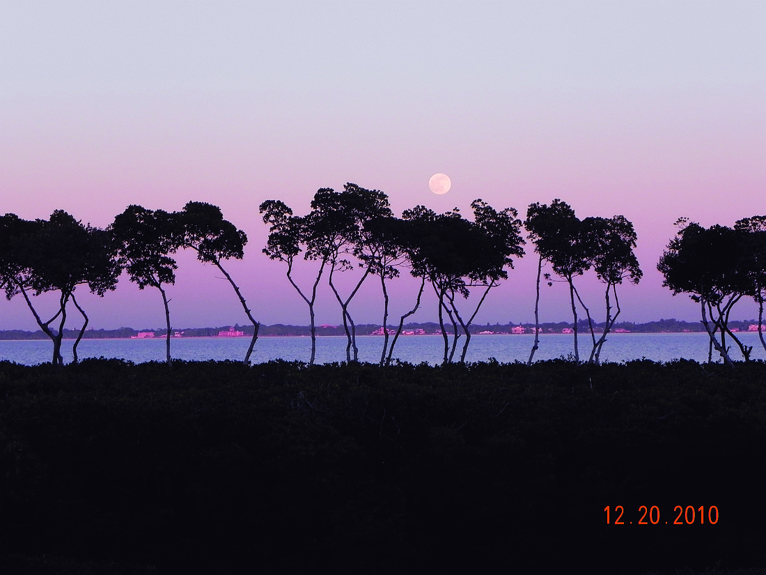 Susan Vicari submitted this sunset photo featuring the moon over Sarasota Bay, taken at Fairway Bay.