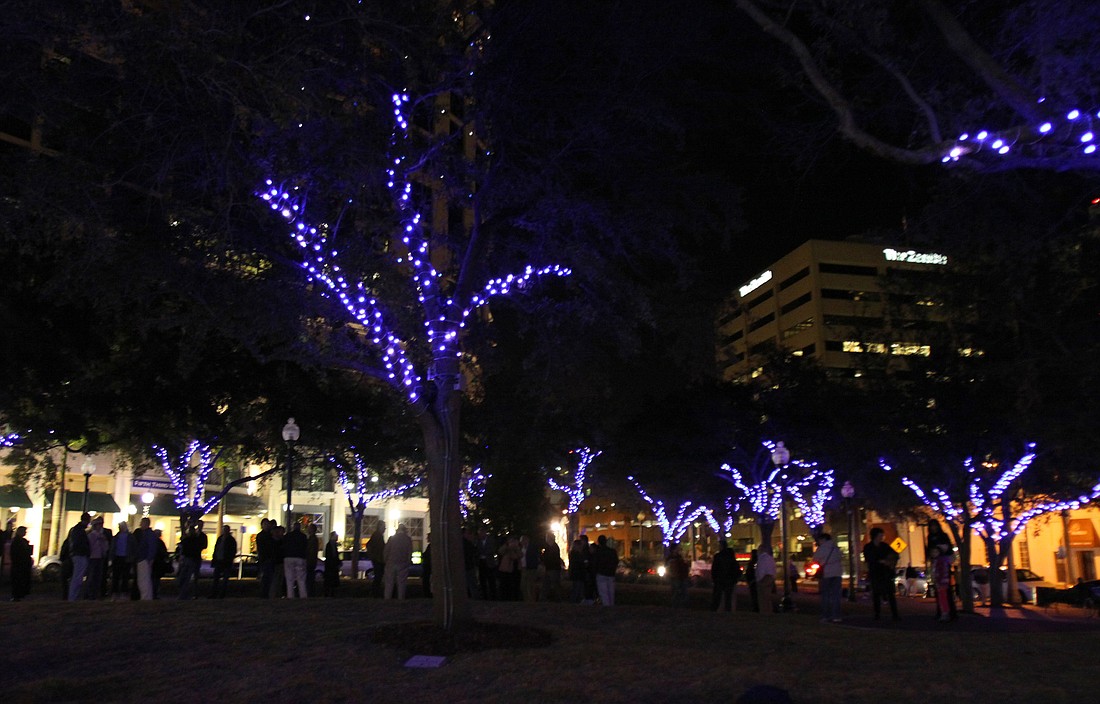 A lighting system in Selby Five Points Park was illuminated for the first time Jan. 7.