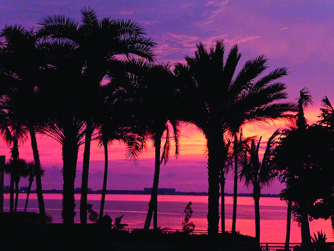 Marilyn Chayka submitted this sunset photo, taken at the Ritz-Carlton, Sarasota.