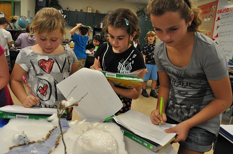 Cassie Lloyd, Leila Parks and Gemma Zapatha checked out the arctic fox exhibit.