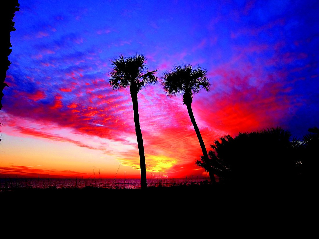 Larry Yermack submitted this sunset photo, taken at the Sandpiper Inn, 5451 Gulf of Mexico Drive.