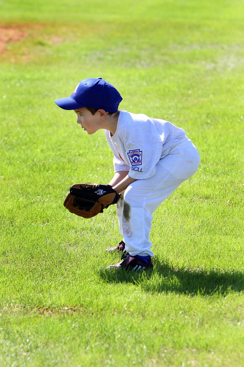 Will Hilton, 6, gets ready to play in the outfield during his tee ball game on Saturday, Feb. 19 at Twin Lakes Park during Central Sarasota Little League Opening Day.