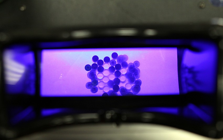 A look inside the view finder at the Benz Research and Development table shows circular beads that are UV protected and those that are not (the clear ones) on Friday, Feb. 25 at Southside Elementary's Science Night.