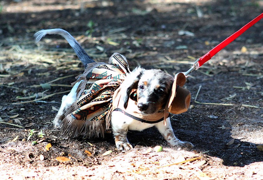 Trouble went as a cowgirl to Howl-O-Ween.