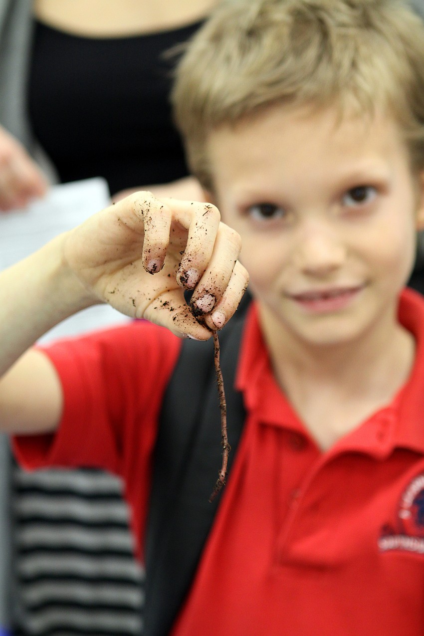 Miles Smith, 2nd grader, enjoys digging for worms in the dirt on Friday, Feb. 25 at Southside Elementary's Science Night.
