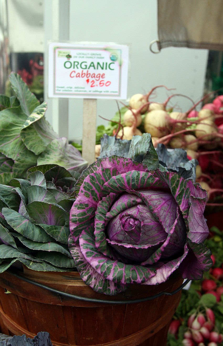 A beautiful organic cabbage sits facing out in a bucket at Worden's Organic Farm's stand on Saturday, Jan. 22 at the farmers market.