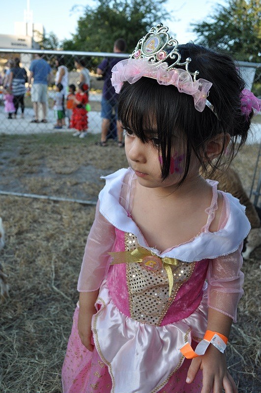 Valentina Sanseverino, 3, was not sure what to think of the petting zoo.