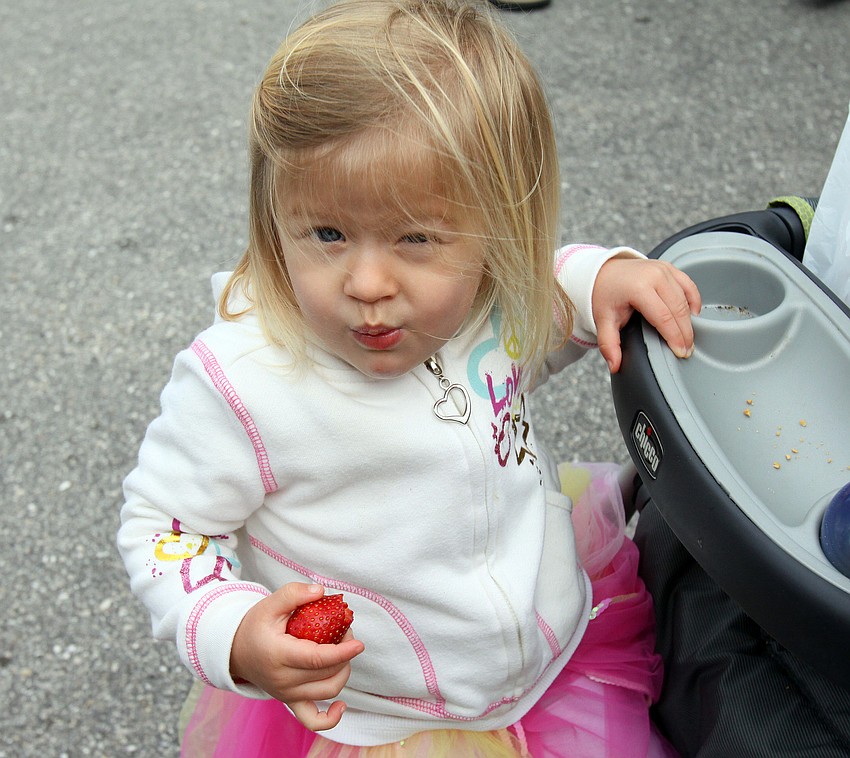 Alex Thompson, 21 mos., makes a face after taking a bite of a fresh strawberry on Saturday, Jan. 22 at the farmers market.