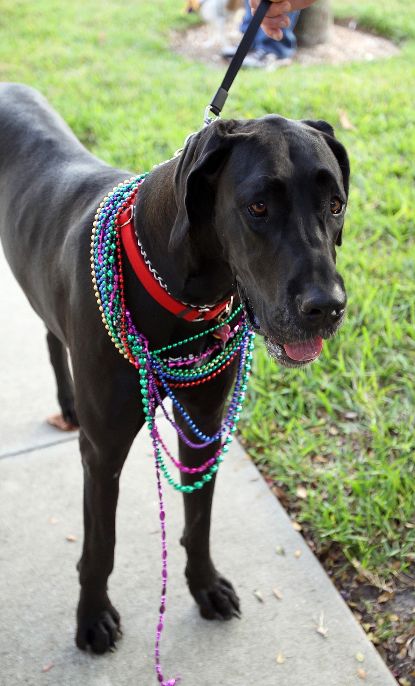 Katie decked out in beads.