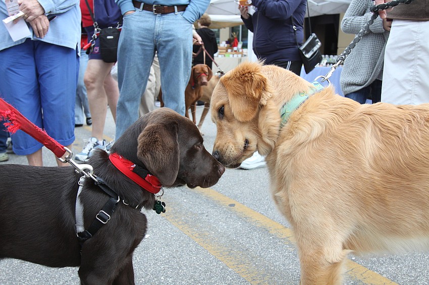 Winston and Magic become friends on Saturday, Jan. 22 at the farmers market. Many people who go to the farmers market bring their dogs to the market since it is not only a family friendly event but also a pet friendly one.