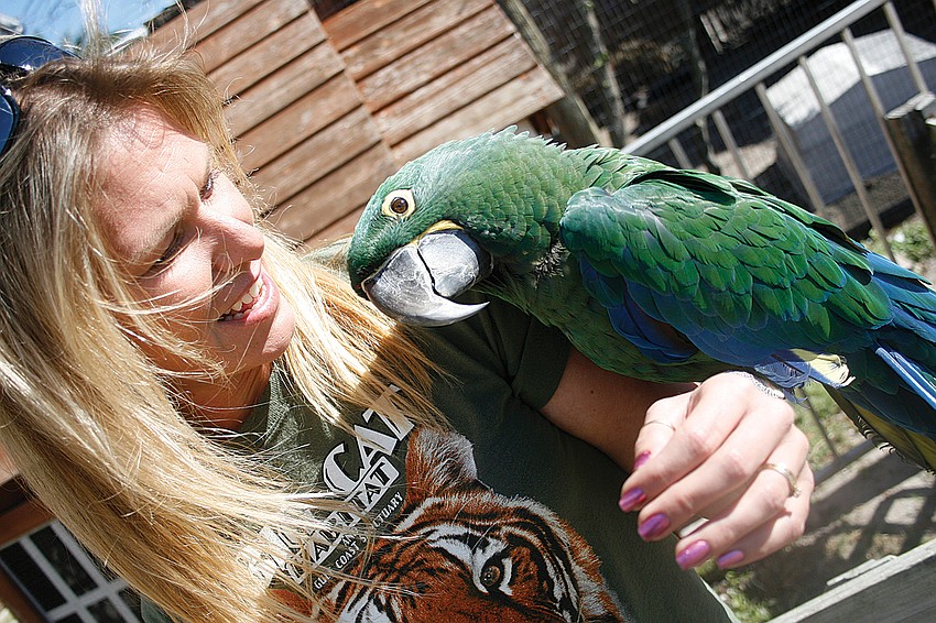 Senior keeper Meg Ozbirn immediately bonded with Salt, a rare emerald macaw.