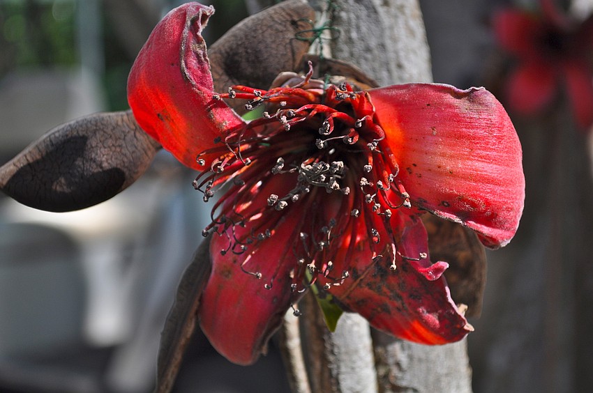 An eco art installation took place Sunday.