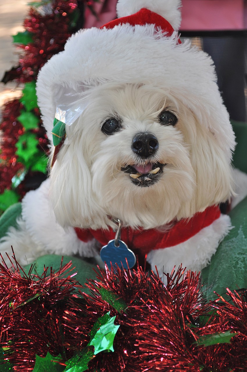 Lily smiles for the camera.