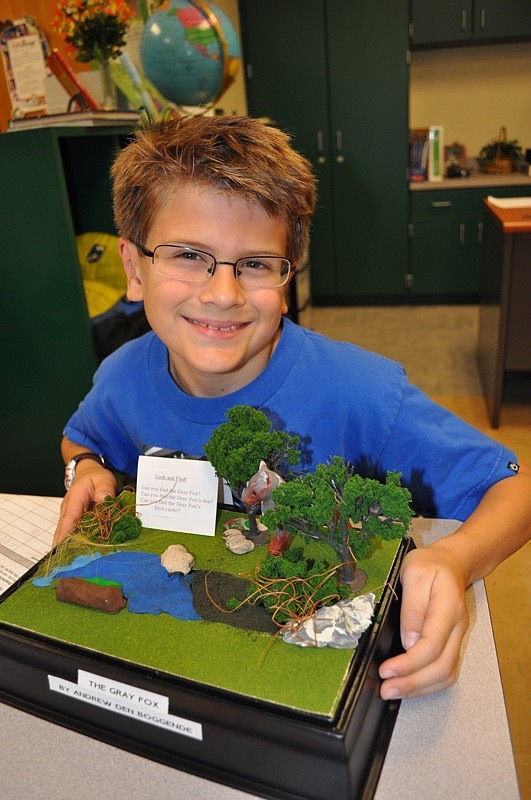 Andrew Denboggende, 8, chose to showcase the gray fox.