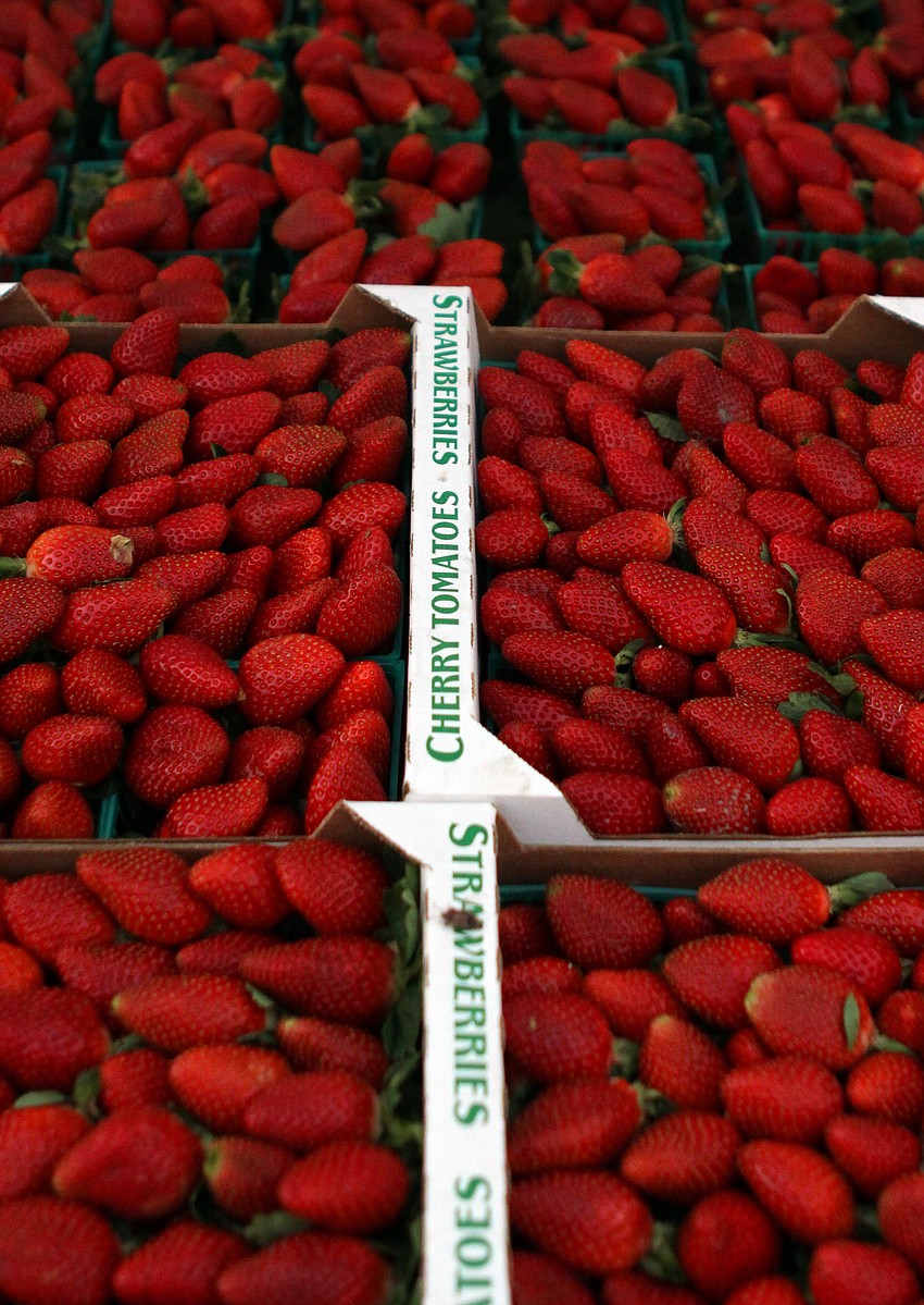 Thousands of fresh strawberries are set out at Brown's Grove stand on Saturday, Jan. 22.