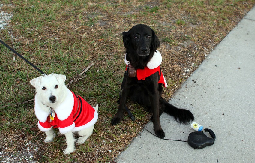 Bogey Rowe, 7, and Chino Childs, 11, came to the boat parade 
dressed in holiday gear.