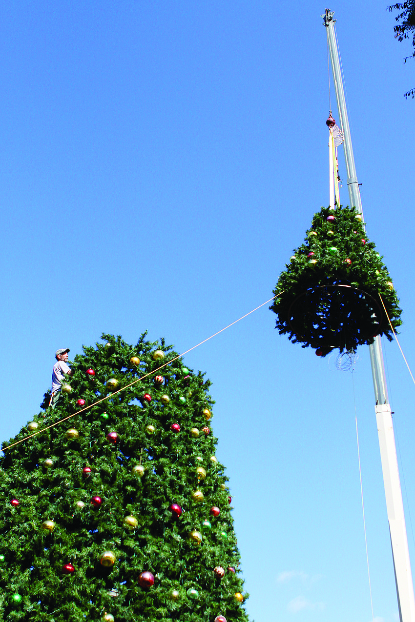 St. Armand's got a dose of holiday cheer in December when its 51-foot Christmas tree arrived.