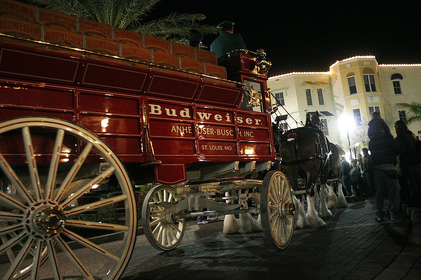 The Budweiser Clydesdales drew quite a crowd at this month's Music on Main.