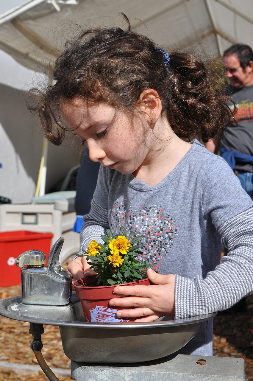 Felicia Wetsman waters her plant.