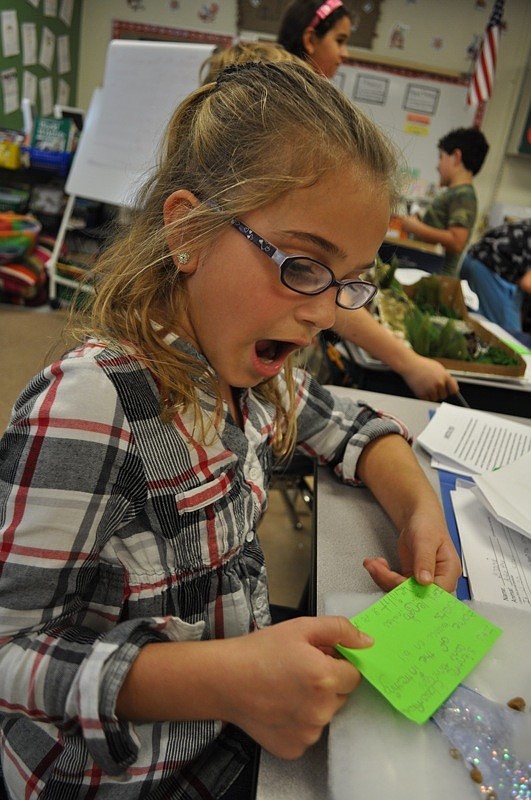 Grace Dunn, 8, shared with other students facts about the arctic fox.