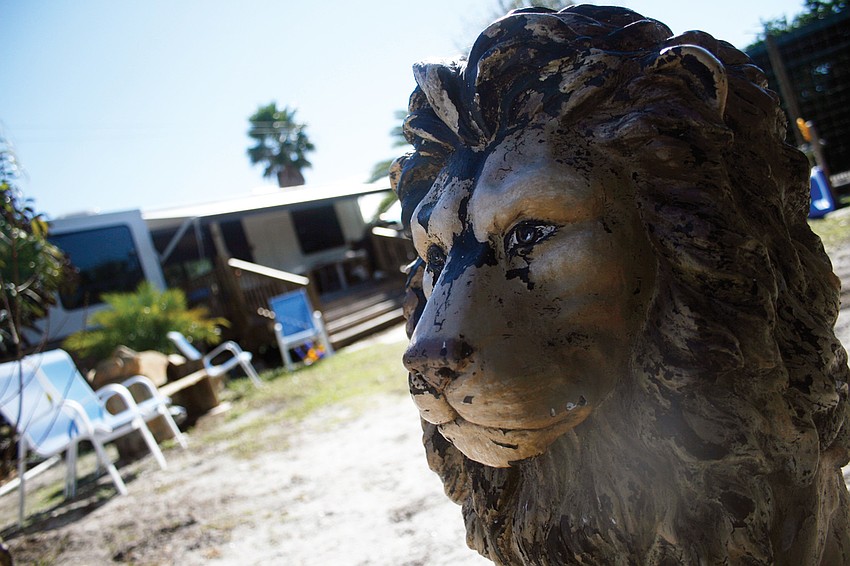 The habitat is able to accommodate animals of all sizes and species.