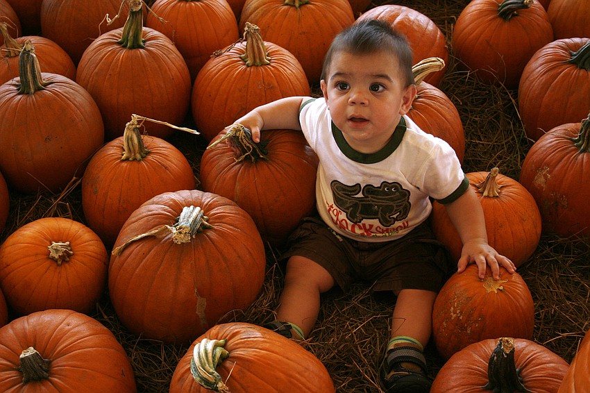 This was 10-month-old Joseph Citrano's first Hunsader Farms festival.