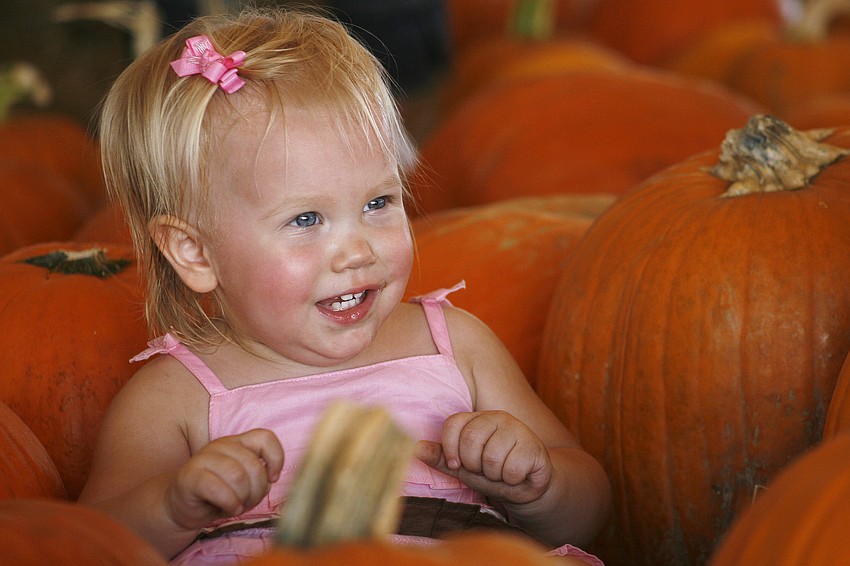 Aubrey Hyatt, 16 months, helped pick out her family's pumpkin.