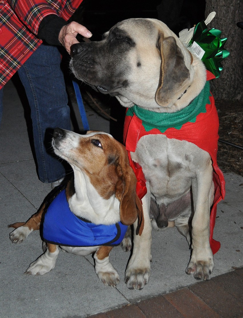 Scooter and Roman Muir