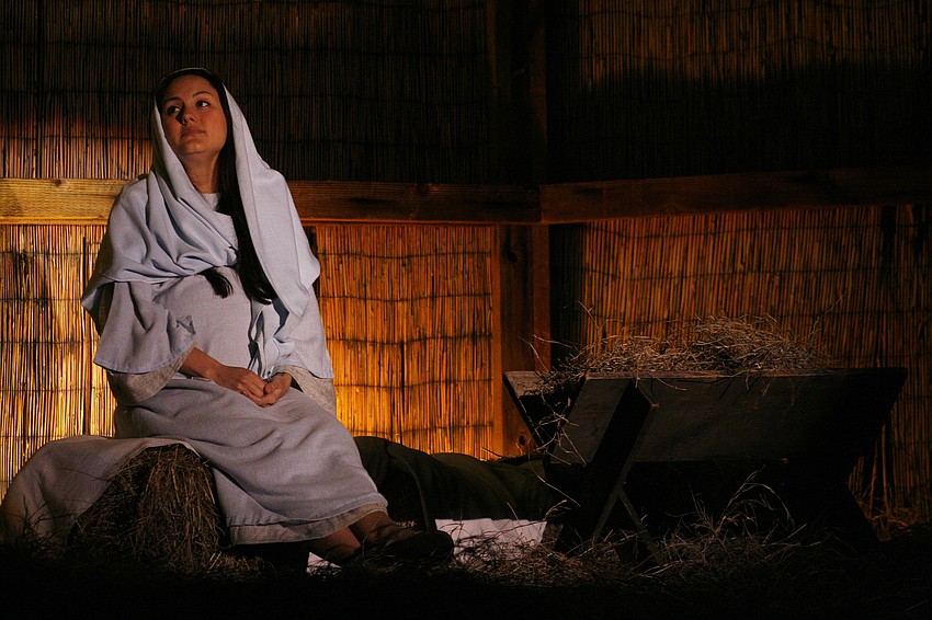 About 5,000 people attended the eight performances this year.