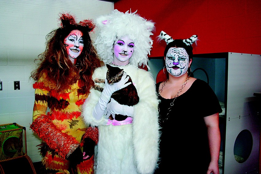 With teased manes and faux-fur body-suits, Caitlyn Colleran, Nicole Viccora and Erin Colleran waved drivers into The Cat Depot in January for its grand opening.