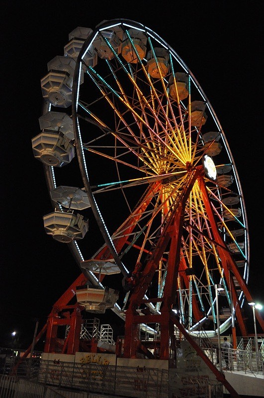 Midway rides lit up the skyline around the fair.